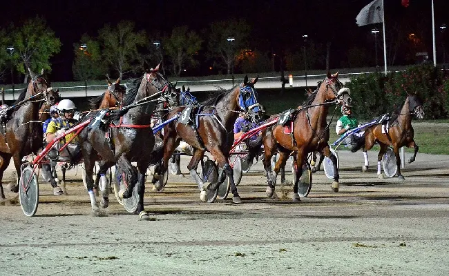 Ippica, l'Ippodromo del Garigliano incorona "la più bella del Reame sui 1100 metri"