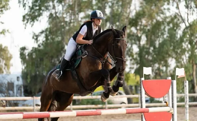 Equitazione, giovani protagonisti a Le Mans nei FEI European Championship di Salto Ostacoli, Completo, Dressage e Horseball