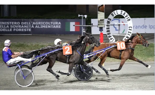 Ippica, Ippodromo di Cesena: Superfrustino - la terza semifinale promuove Francesco Pettinari. Tqq vinta da Fan Idole Truia guidata da Bacalini
