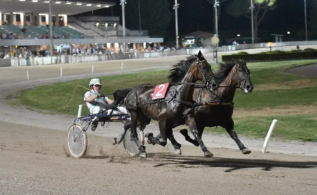 Ippica, da sabato 2 inizia il "caldo" agosto all'Ippodromo Snai Sesana con in pista le corse a Pariglie e il Trotto Montato. Conto alla rovescia per il "Gran Premio Città di Montecatini"
