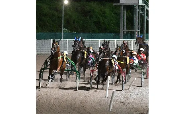 Ippica, all’Ippodromo Snai Sesana venerdì di trotto che fa da ‘antipasto’ al Gran Premio città di Montecatini di Ferragosto. In pista sette prove dalle ore 20:40