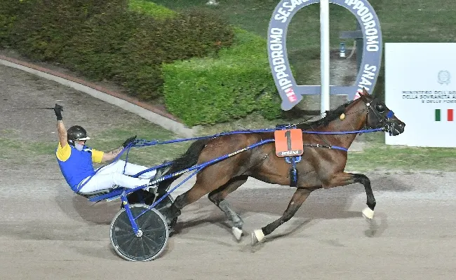 Ippica, all’Ippodromo Snai Sesana Eco Gual e Diochebel ‘caricano’ Roberto Vecchione per l’atteso ‘Gran Premio Città di Montecatini’ di Ferragosto