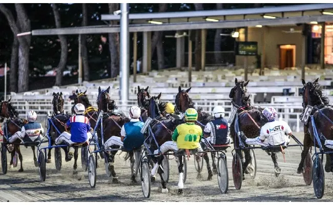 Ippica, Ippodromo di Cesena: martedì 12 agosto sette corse con Tris Quarté Quinté dalle 20:50