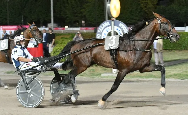 Ippica, Ferragosto all'Ippodromo Snai Sesana con il 'Gran Premio Città Di Montecatini' e la festa con animazione, intrattenimento e spettacolo pirotecnico