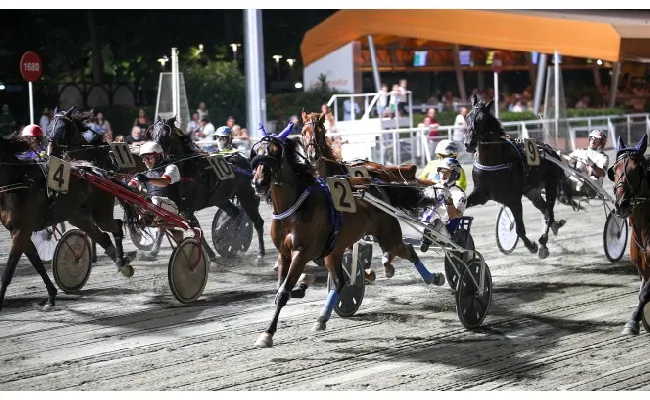 Ippica, Ippodromo di Cesena: martedì 19 agosto, le sette corse in programma abbinate ad associazioni di volontariato del territorio. Inizio alle 20:50