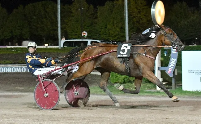 Ippica, all'Ippodromo Snai Sesana il mercoledì di trotto sorride a Fortuna Trebì che si aggiudica il Premio Cavallo 2000, prova clou valida come Tqq Nazionale