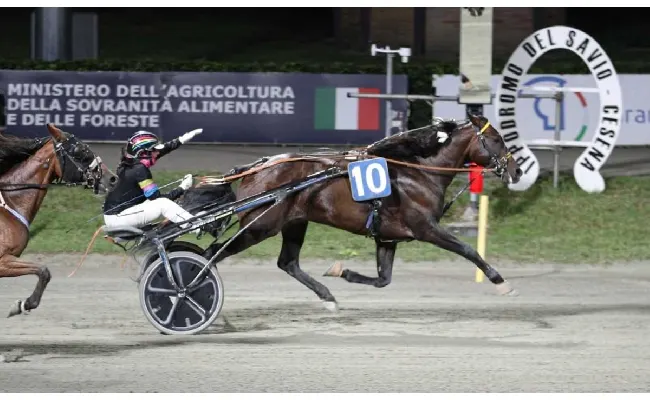 Ippica, Ippodromo di Cesena: a Carlotta D'Agostino il Master Annamaria Grassi per gentleman nella serata di Città di Castello