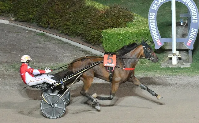 Ippica, all’Ippodromo Snai Sesana sabato sera ‘speciale’ imperniato sull’Associazione Giuliasmile, mentre in pista brillano Gilda Indal e Cluny Dei Greppi nelle prove con più dotazione