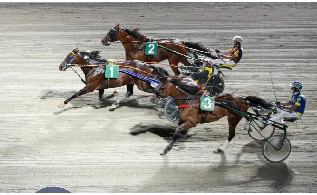 Ippica, Ippodromo di Cesena: Finalissima Superfrustino martedì 26 agosto, si sfidano le star delle redini lunghe. Dalle 20:35, la sfida è aperta