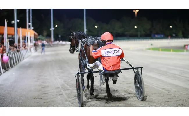 Ippica, Campionato Europeo Orogel: tutto pronto per il gran finale, appuntamento il 6 settembre all’Ippodromo del Savio