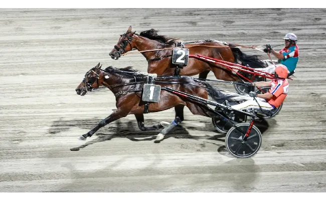 Ippica, Ippodromo Cesena: sabato 6 settembre Campionato Europeo di Trotto Orogel. Due in finale, uno nella storia