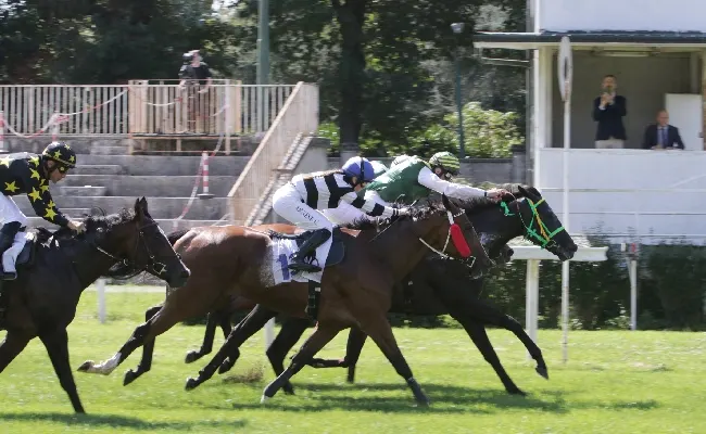 Ippica, all'Ippodromo Snai San Siro la domenica di riapertura delle corse di galoppo regala a Lethal Nigio il premio Cancelli