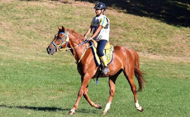 Equitazione, endurance: Campionati Italiani, a Senette il titolo pony 2025