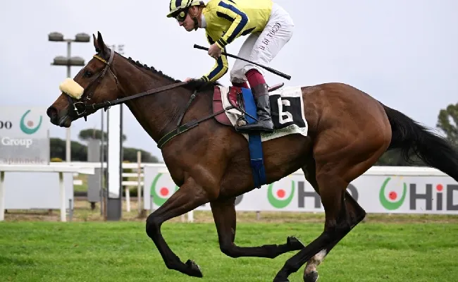 Ippica, prima domenica di corse all’Ippodromo Capannelle. Torna Mr Darcy, il pupillo di Max Allegri, nel Premio Campidoglio