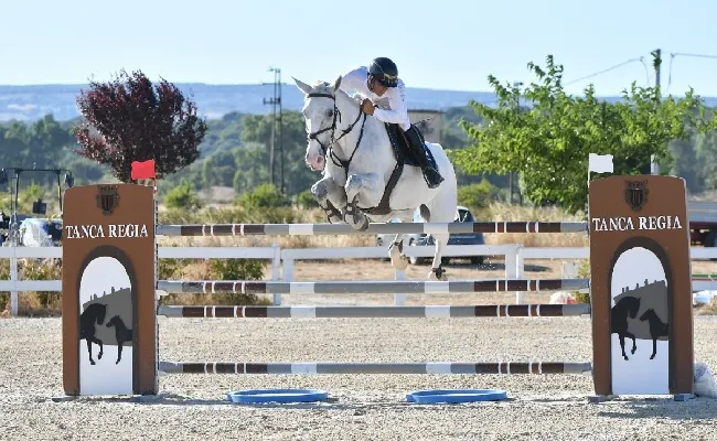 Equitazione, salto ostacoli: 250 iscritti a Tanca Regia per le semifinali del Trofeo Asvi per cavalli di 4, 5, 6 e 7 anni e oltre