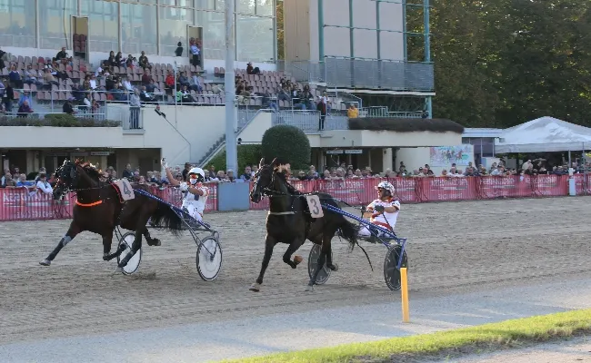 Ippica, Ippodromo Arcoveggio di Bologna: domenica 21 settembre spettacolo in pista con il Gran Premio Continentale, una vera festa del trotto dalle 14:30