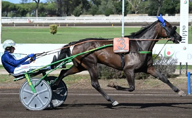 Ippica, Ippodromo Capannelle: sabato 20 le batterie del 98° Derby Italiano del Trotto e delle Oaks