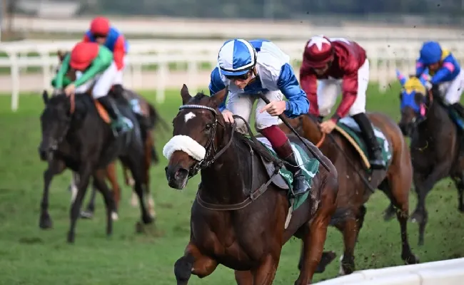 Ippica, Ippodromo Capannelle: domenica 21 al galoppo con il LIsted Race Day e la cavalla di Allegri Sun Never Sets