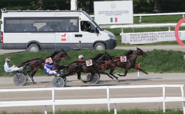 Ippica, nel venerdì di trotto all’Ippodromo Snai San Siro spicca I Love America nell’handicap riservato ai 2 anni e valido come premio Allevamento di No. Tra le altre corse in evidenza Inn Wise As e Grace Kelly Hp