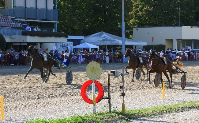 Ippica, Ippodromo Arcoveggio di Bologna: Funny Gio a segno nel Continentale, Follia d'Esi nel Continentale Filly eguagliano entrambe i record delle due prove in una giornata di grande trotto
