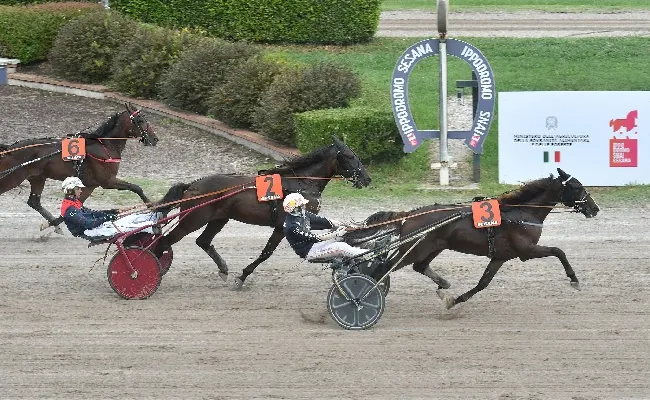 Ippica, all'Ippodromo Snai Sesana il lunedì di trotto premia a sorpresa Wild Sky nella prova per i puledri supportata da Biondi e C. Snc