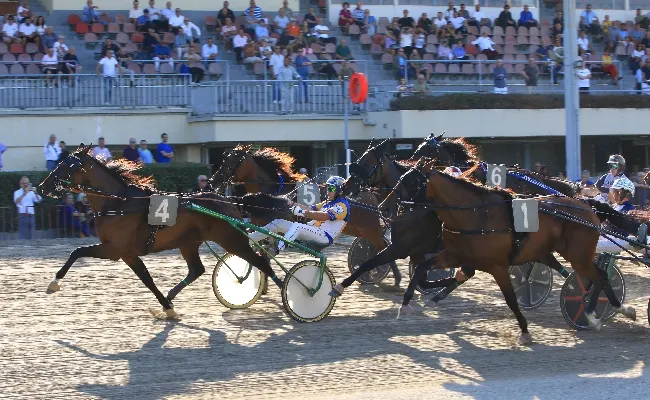 Ippica, giovedì 25 settembre l’Ippodromo di Bologna ospita otto corse dalle 15:15, con la Tris Quarté Quinté collocata al termine del pomeriggio