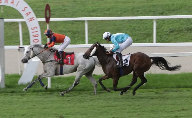 Ippica, super sabato di galoppo e di animazione all’Ippodromo Snai San Siro: in pista il Coolmore, il Premio Vittorio Riva e il Criterium Nazionale. Al via dalle ore 14:45 con sette corse