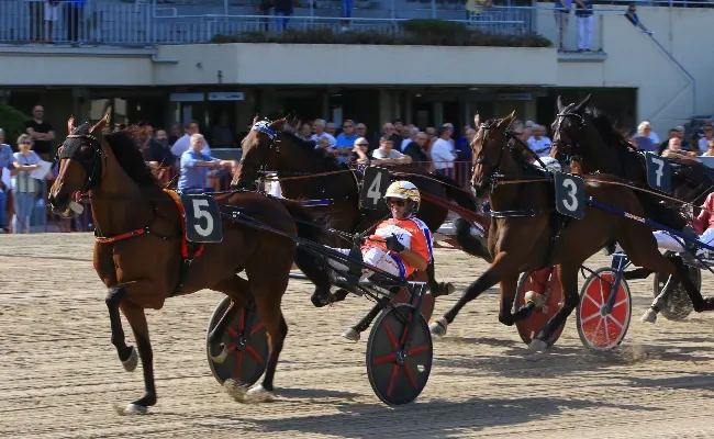 Ippica, Ippodromo di Bologna: domenica 28 settembre si conclude il mese con il Premio Cromiko. Otto corse di qualità dalle 14:35