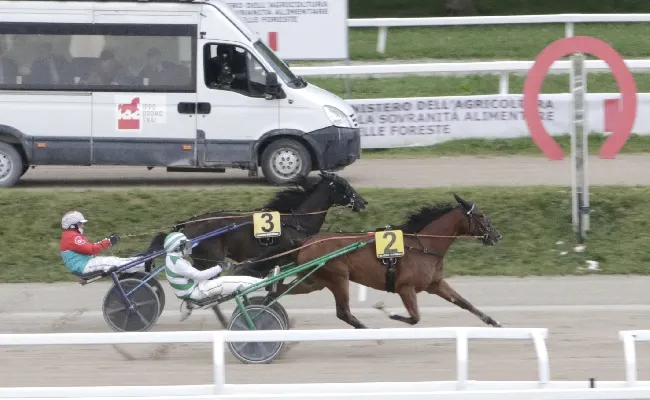 Ippica, nel venerdì di trotto all'Ippodromo Snai San Siro Irenel Mail vince e fa il record della generazione dei 2 anni nel "Premio Scuderia Luccio Zucchetti"