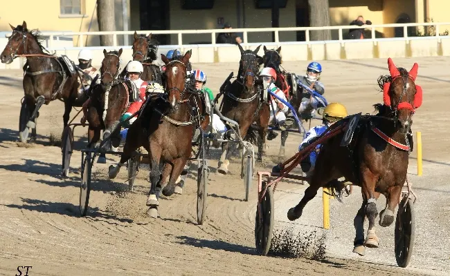 Ippica, Ippodromo di Bologna: giovedì 2 ottobre, grandi guide impegnate nelle otto corse in programma dalle 14:40
