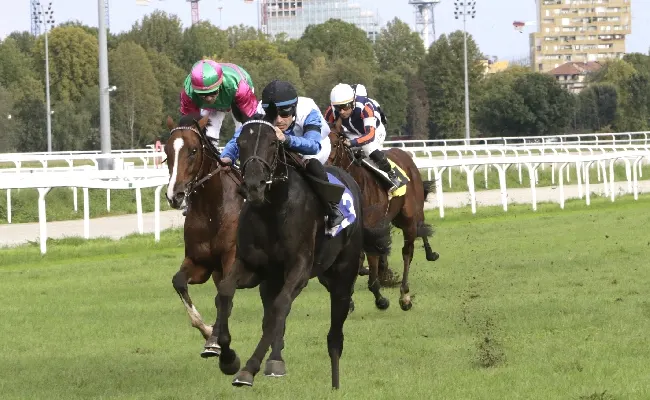 Ippica, all’Ippodromo Snai San Siro otto corse di galoppo valide per la 38^ giornata stagionale a Milano. Al via dalle ore 14:10 con in evidenza il ‘Premio Gianni Crotti’