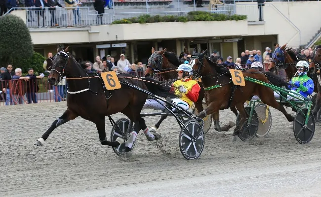 Ippica, Ippodromo Arcoveggio di Bologna : domenica 5 ottobre otto corse in programma dalle 14:38