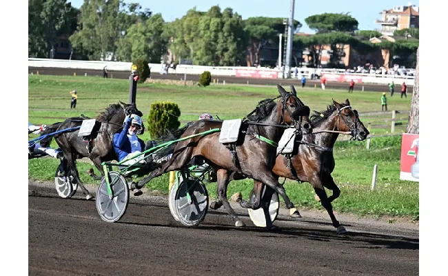 Ippica, all’Ippodromo Capannelle va in scena il grande spettacolo del trotto: domenica 12 in programma il 98° Derby Italiano del Trotto, Oaks del Trotto e Premio Turilli