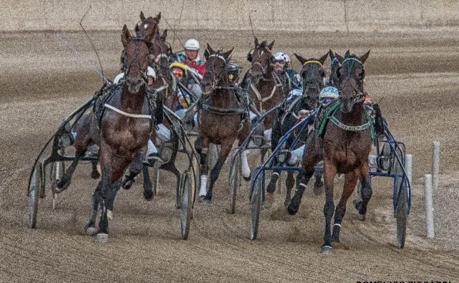 Ippica, all’ippodromo di Castelluccio dei Sauri si corre per la solidarietà