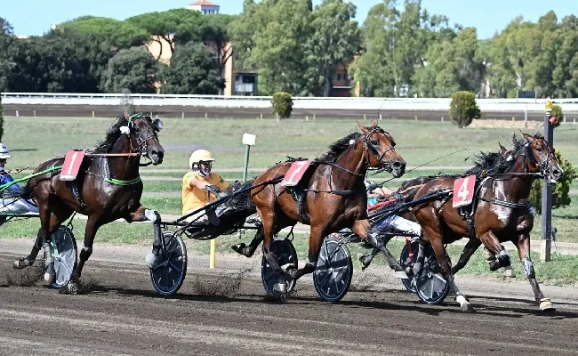 Ippica, all’Ippodromo Capannelle il grande spettacolo del trotto: sabato 11 il Criterium Day, domenica 12 il Derby Italiano del Trotto, Oaks e Gran Premio Turilli