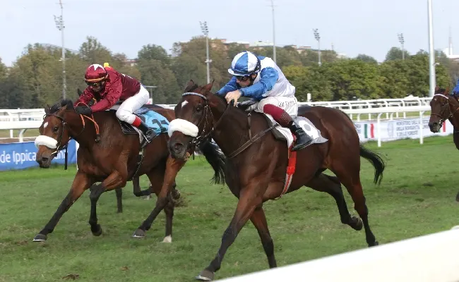 Ippica, all’Ippodromo Snai San Siro domenica top di galoppo: in pista il Premio Verziere e tre listed per il Cumani, l’Eupili e l’Omemoni