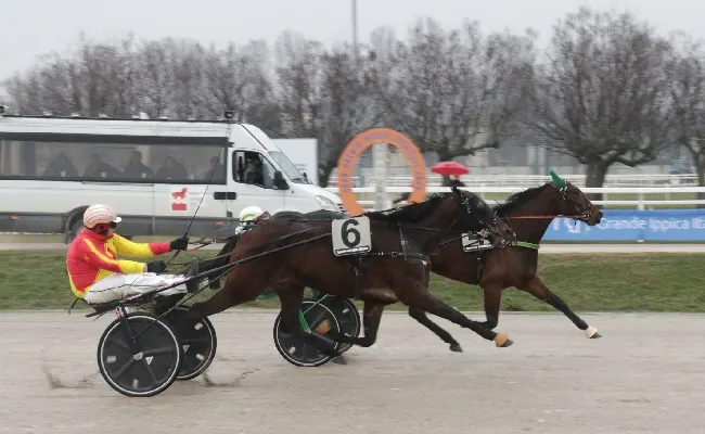 Ippica, sprazzi di classe di Ischia Joy nel venerdì di trotto all’Ippodromo Snai San Siro in ricordo di Vittorio Sciarrillo. Nel trotto montato si conferma nella specialità Euphoria Roc