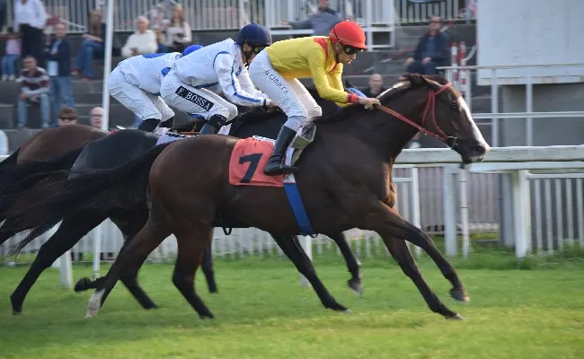 Ippica, all'Ippodromo Snai San Siro Kiki Roberts vince il Monterosa con un prepotente scatto. Nel Premio Maria Sacco è Look Upon che la spunta al fotofinish