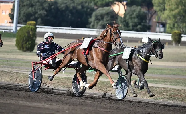 Ippica, il Derby Day delle sorprese all’Ippodromo Capannelle: a Gabrioz il 98° derby Italiano del Trotto, Ginger Wise As trionfa nelle Oaks