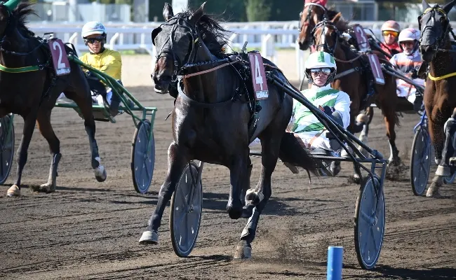 Ippica, Ippodromo Capannelle: sabato è stato il giorno del Criterium Day