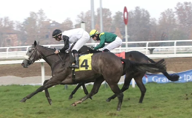 Ippica, all'Ippodromo Snai San Siro super weekend di galoppo: sabato il Premio Eteocle Bassi che fa da antipasto alla domenica top con in pista il Jockey Club, il Premio Dormello e il Gran Criterium