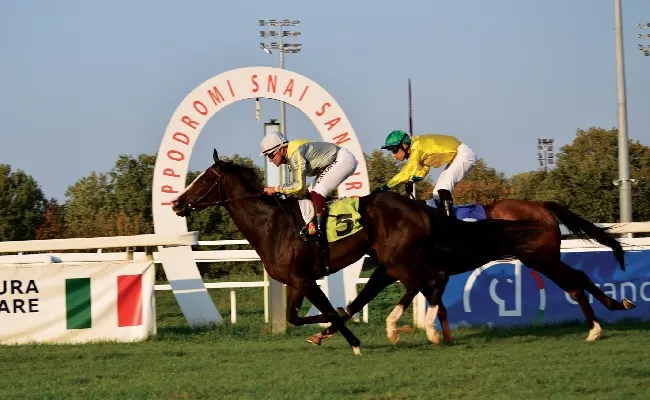 Ippica, all'Ippodromo Snai San Siro il sabato di vigilia del Jockey Club premia Flag of Fear nel Premio Eteocle Bassi e la romana Cavalese nel Premio Raimondo Billeri