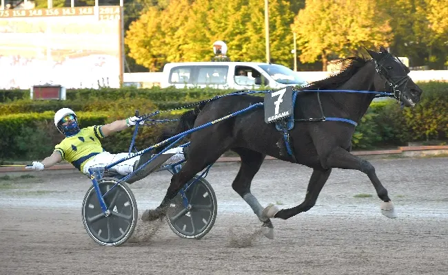 Ippica, all'Ippodromo Snai Sesana brilla Iuska Roc nel Premio Mauro Gazzarini in una riunione di trotto dedicata alla Scuderia Jamalu