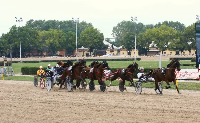 Ippica, Ippodromo di Bologna: giovedì 23 ottobre, otto corse dalle 14:25. Classe e velocità nel "centrale"
