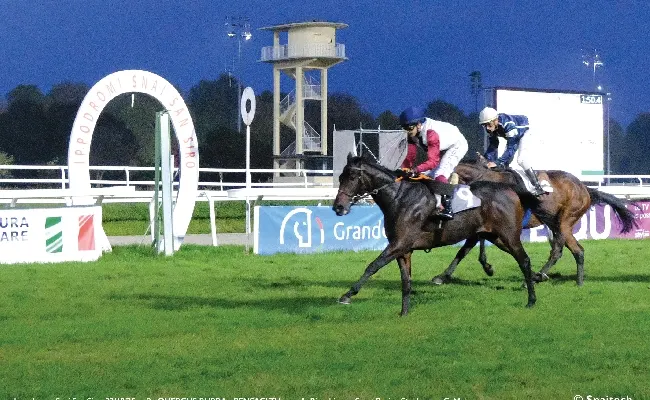 Ippica, all'Ippodromo Snai San Siro il mercoledì di galoppo con le due prove per i cavalli di 2 anni sorride a Tulum e a Pokera