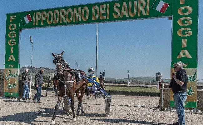 Ippica, lunedì di festa a Castelluccio dei Sauri: qualificazioni Anact Stakes+ e 109 cavalli al via