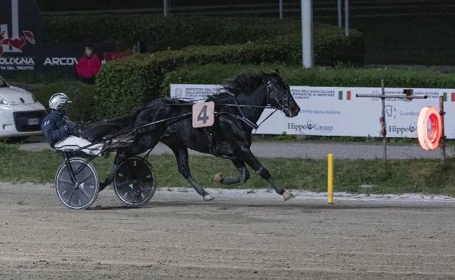 Ippica, Ippodromo di Bologna: domenica 26 ottobre poker di vittorie per Vincenzo Luongo, Manuele Matteini si afferma con Burraio Op nel Premio Fabio Menini