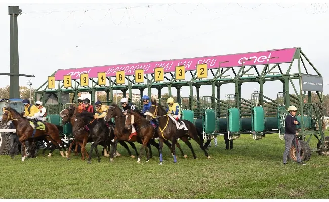 Ippica, all’Ippodromo Snai San Siro ultimo infrasettimanale di ottobre con il galoppo. Mercoledì in pista dalle ore 14:55 con sette corse tra cui il Premio Dormelletto