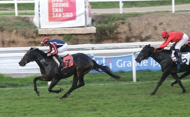 Ippica, all’Ippodromo Snai San Siro domenica di galoppo con in evidenza il Premio Renzoni per la 46^ giornata stagionale. Sette corse a partire dalle ore 15