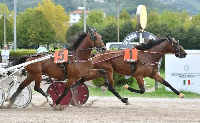 Ippica, lunedì 3 novembre all’Ippodromo Snai Sesana per l’ultima riunione di trotto della 110^ stagione. Al via dalle ore 14:40 con sette prove in pista e ingresso gratuito